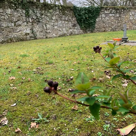 Apartment Avec Jardin A Proximite! *
